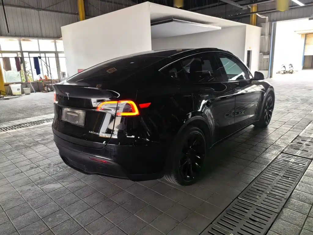 Tesla Model Y — миниатюра 7