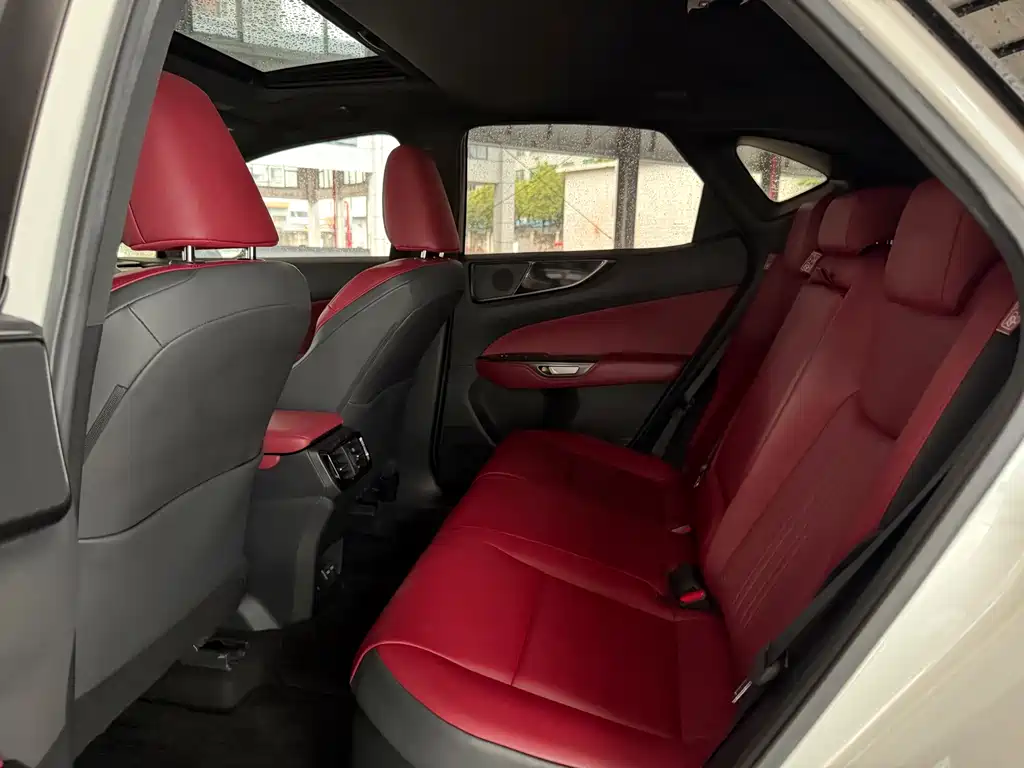Lexus NX New Energy — миниатюра 5