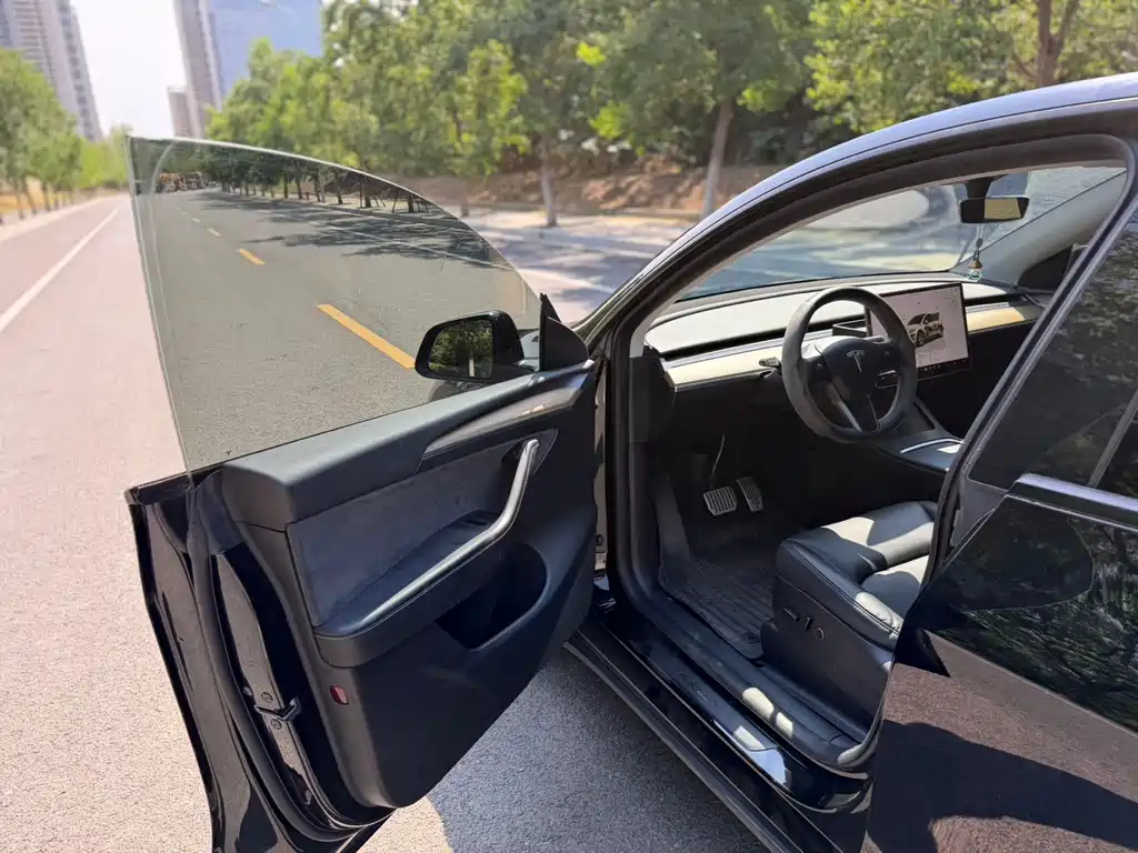 Tesla Model Y — миниатюра 8