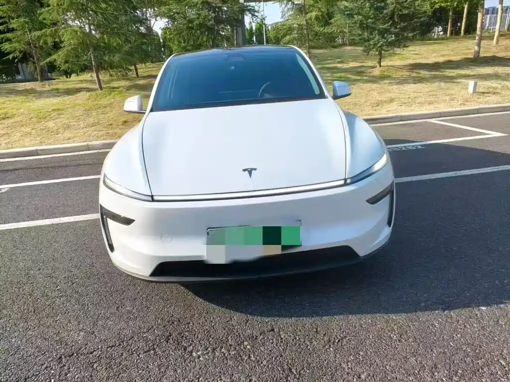 Tesla Model Y — миниатюра 2