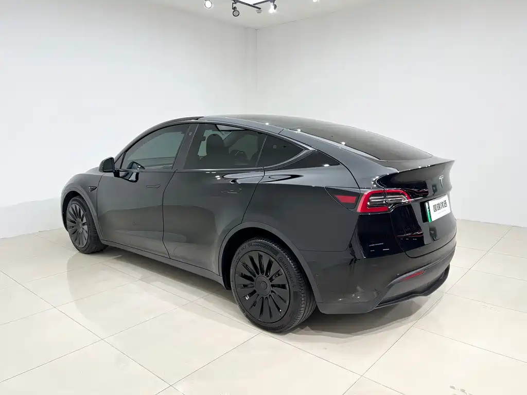 Tesla Model Y — миниатюра 4