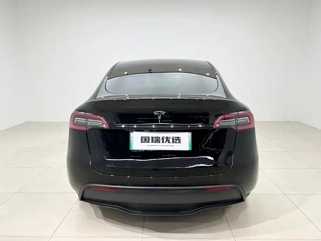 Tesla Model Y — миниатюра 5