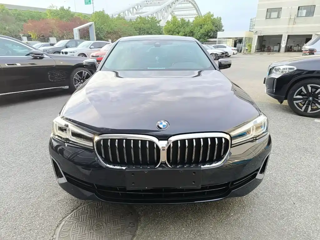 BMW 5 Series New Energy — миниатюра 3