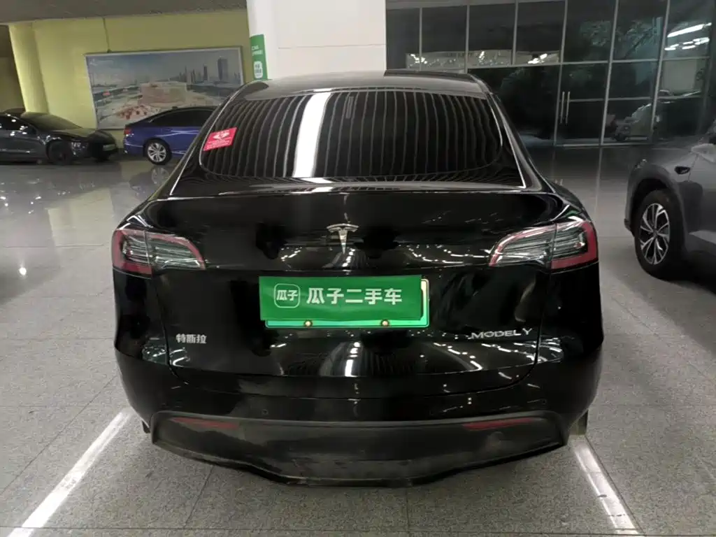 Tesla Model Y — миниатюра 6