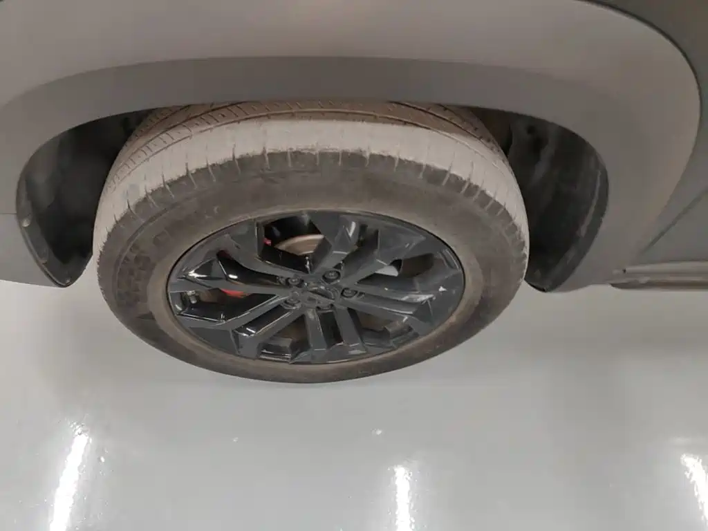 Haval Big Dog — миниатюра 23