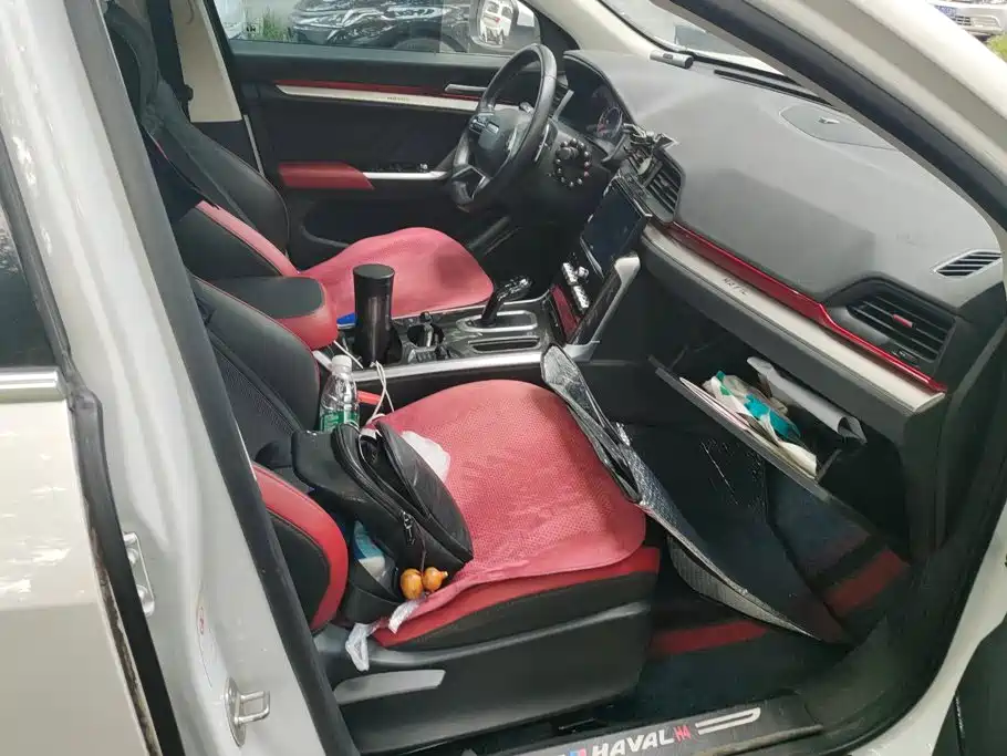 Haval H4 — миниатюра 8