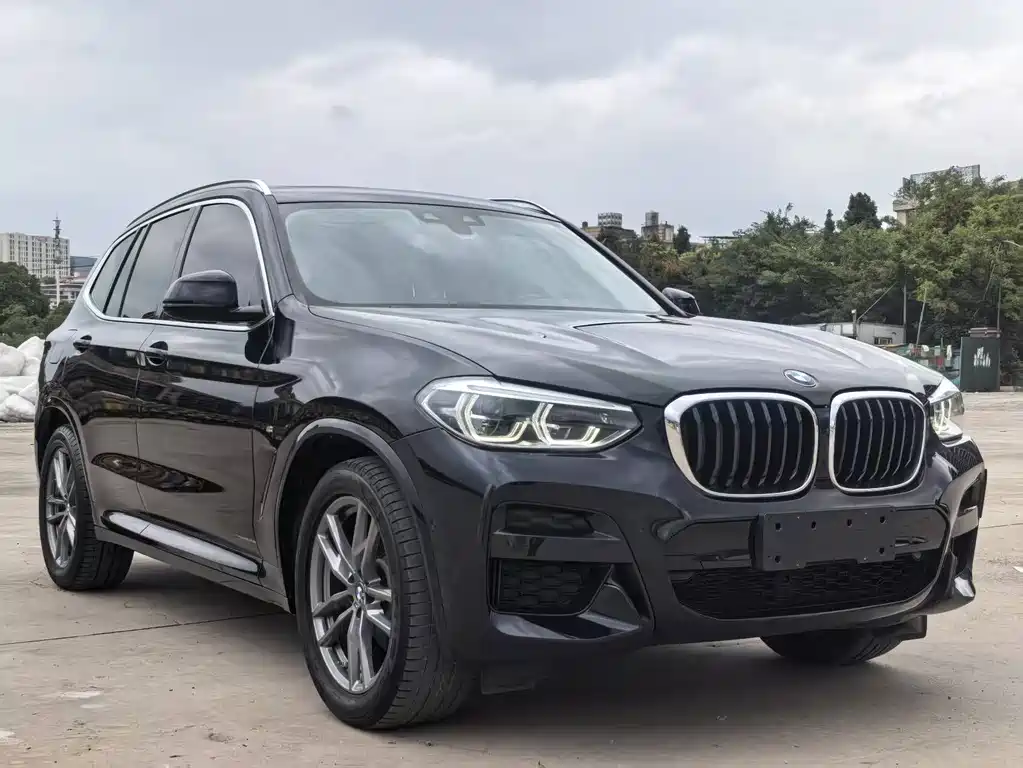 BMW X3 — миниатюра 3