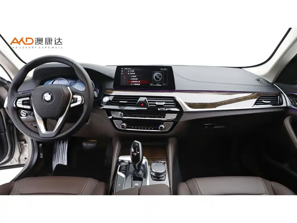 BMW 5 Series — миниатюра 5