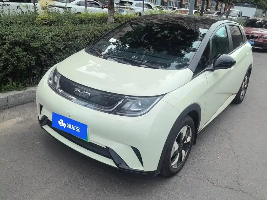 BYD Dolphin