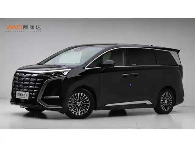 2024 Denza D9