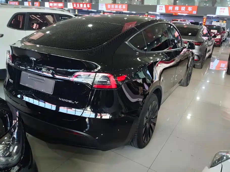 Tesla Model Y — миниатюра 3