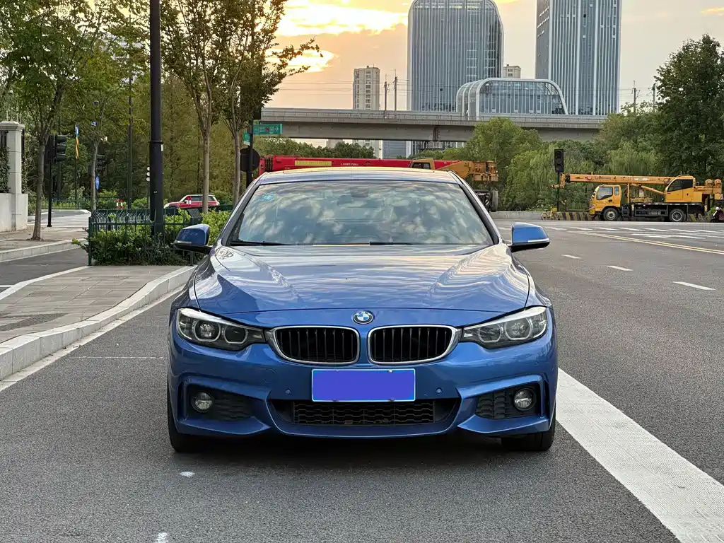 BMW 4 Series — миниатюра 4