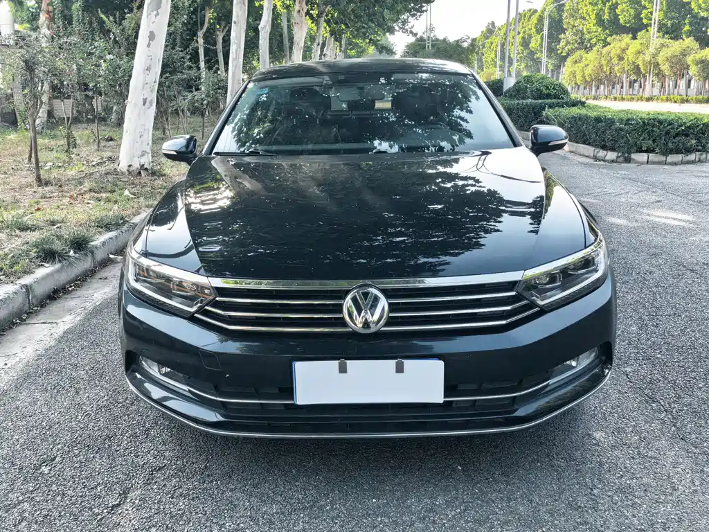 Volkswagen Magotan — миниатюра 2