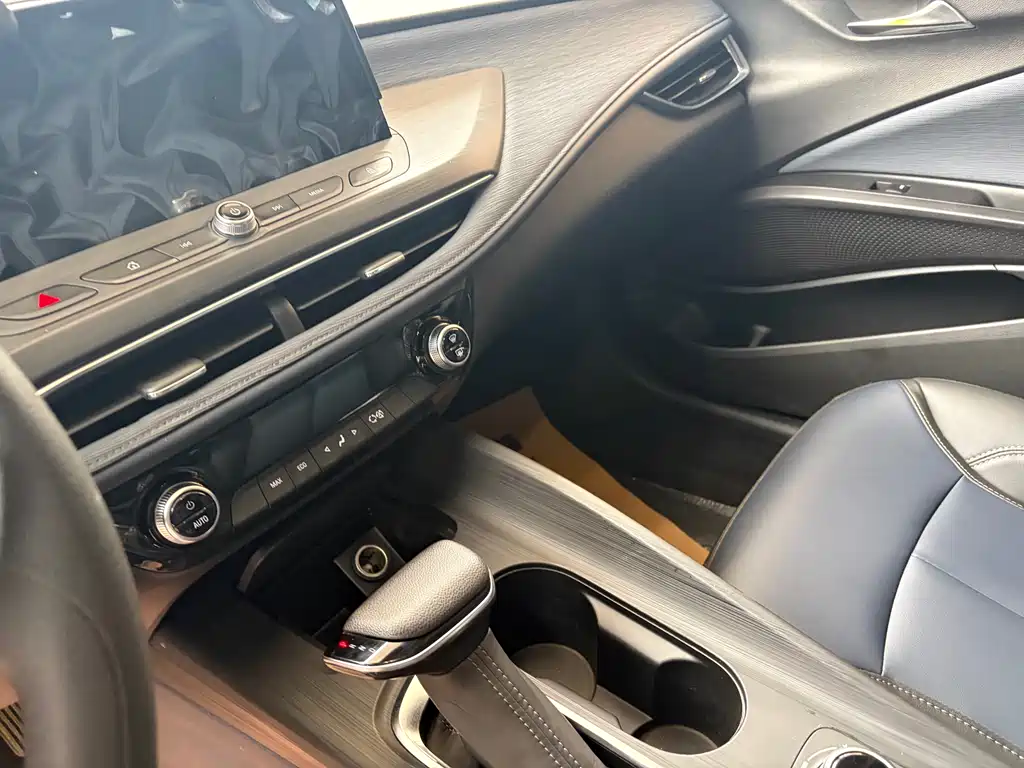 BUICK SLIGHTLY BLUE 6