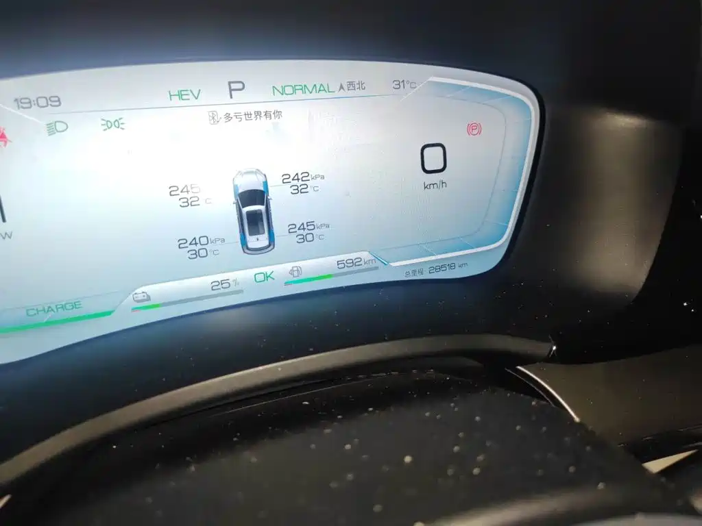BYD PLUS New Energy — миниатюра 5