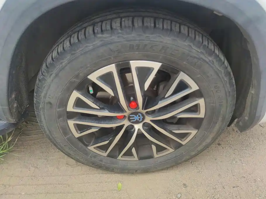BYD New Energy — миниатюра 6