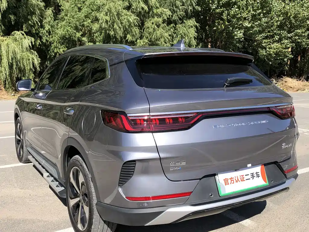 BYD SONGJIANG NEW ENERGY