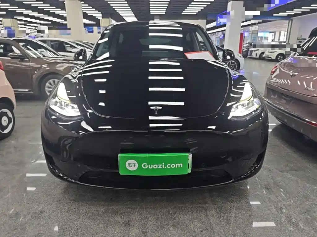 Tesla Model Y — миниатюра 3