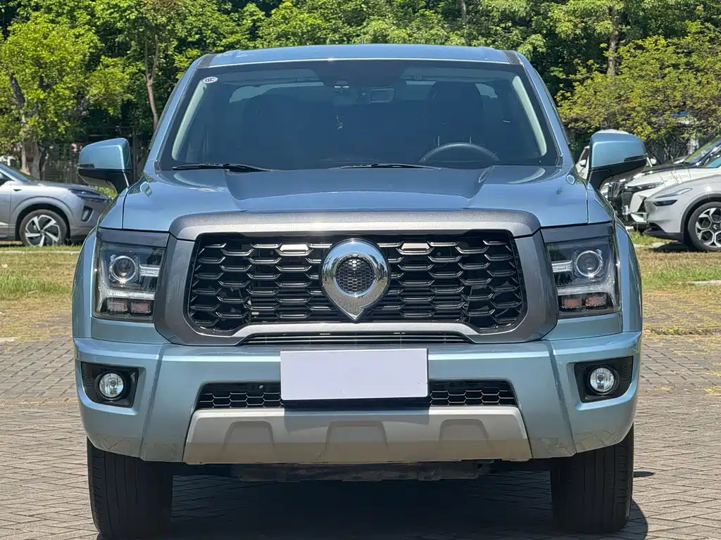 Great Wall King Kong Pao — миниатюра 2