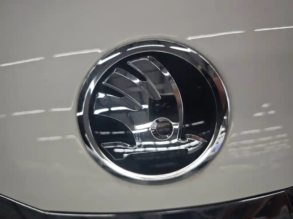 Skoda Kamiq — миниатюра 11