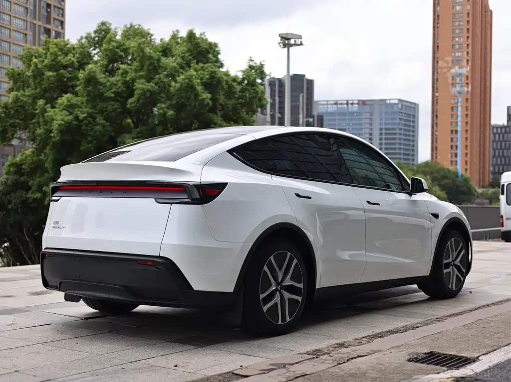 Tesla Model Y — миниатюра 8