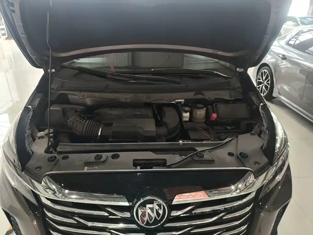 Buick GL8 — миниатюра 20