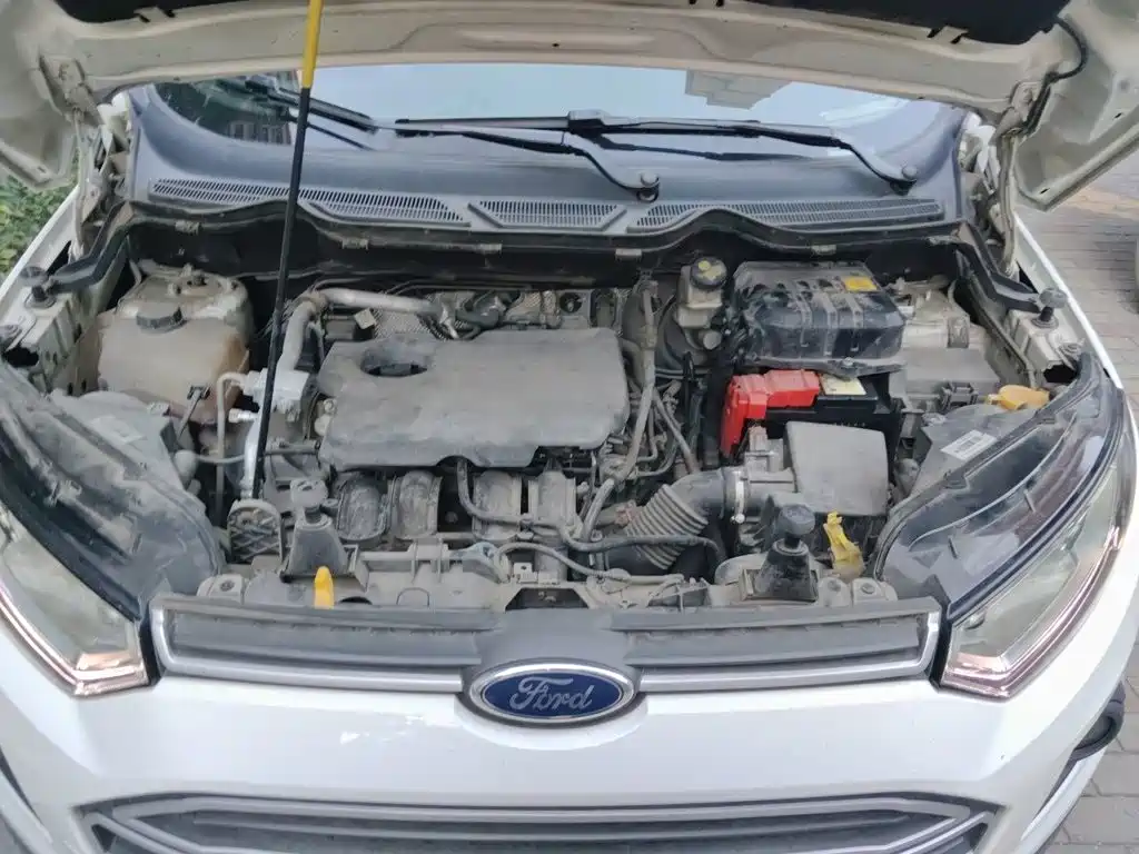 Ford Ecosport — миниатюра 11