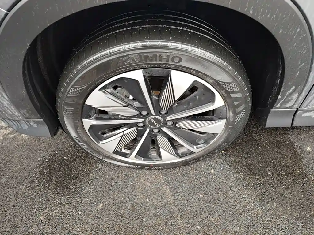 BYD PLUS New Energy — миниатюра 23