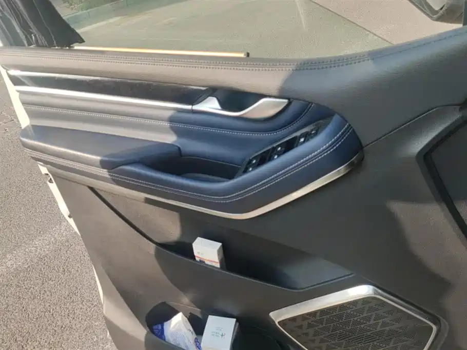 SAIC MAXUS CHASE G20