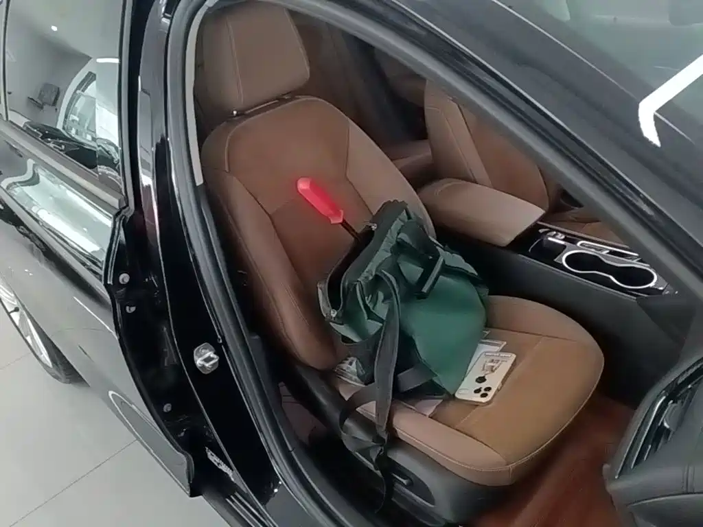 Buick Regal — миниатюра 25