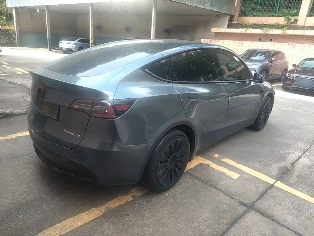 Tesla Model Y — миниатюра 7