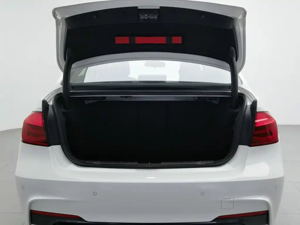 BMW 3 Series — миниатюра 16