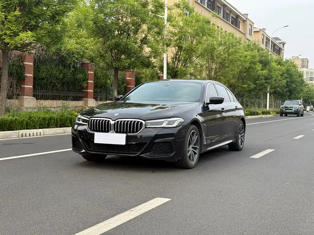 BMW 5 Series New Energy 2023