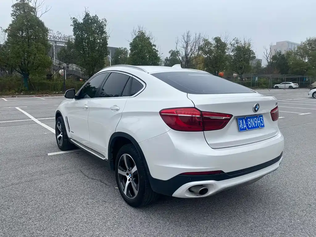 BMW X6 — миниатюра 5