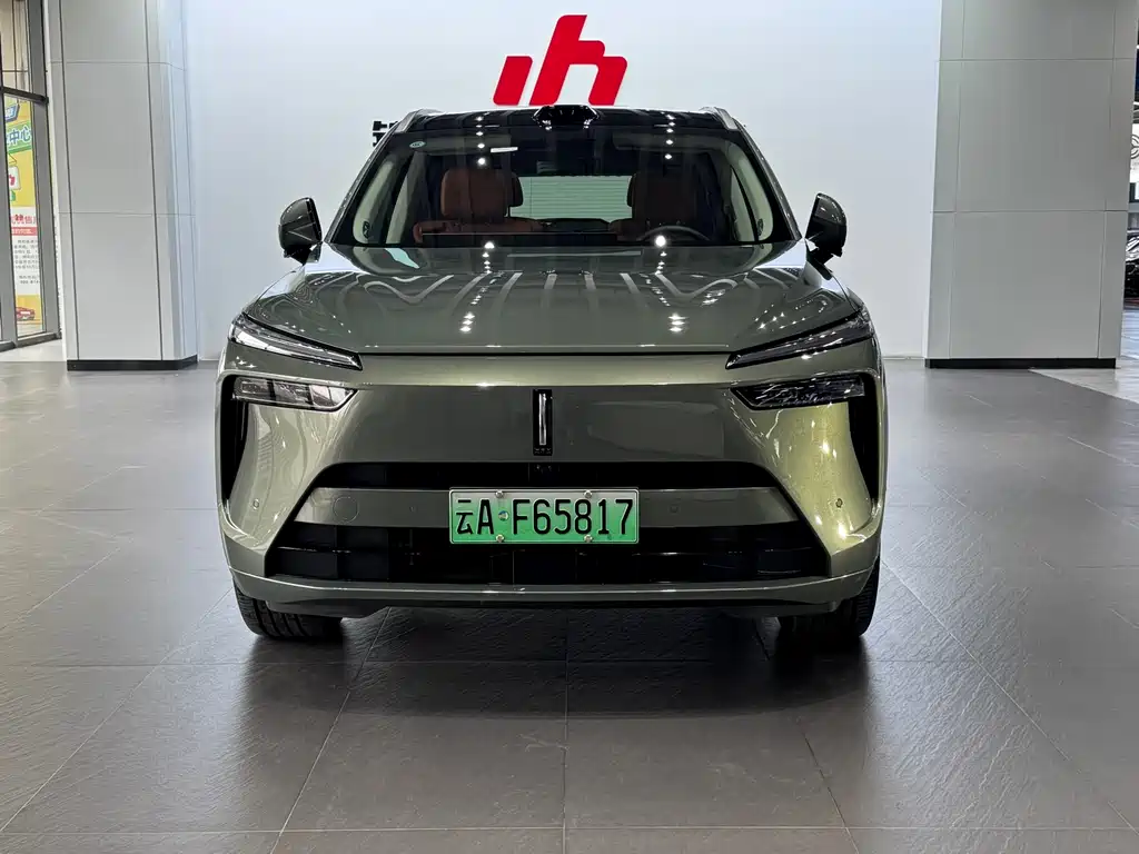 WEI PAI WEI BRAND BLUE MOUNTAIN