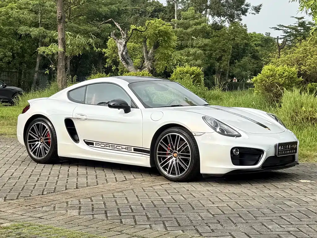 Porsche Cayman — миниатюра 3