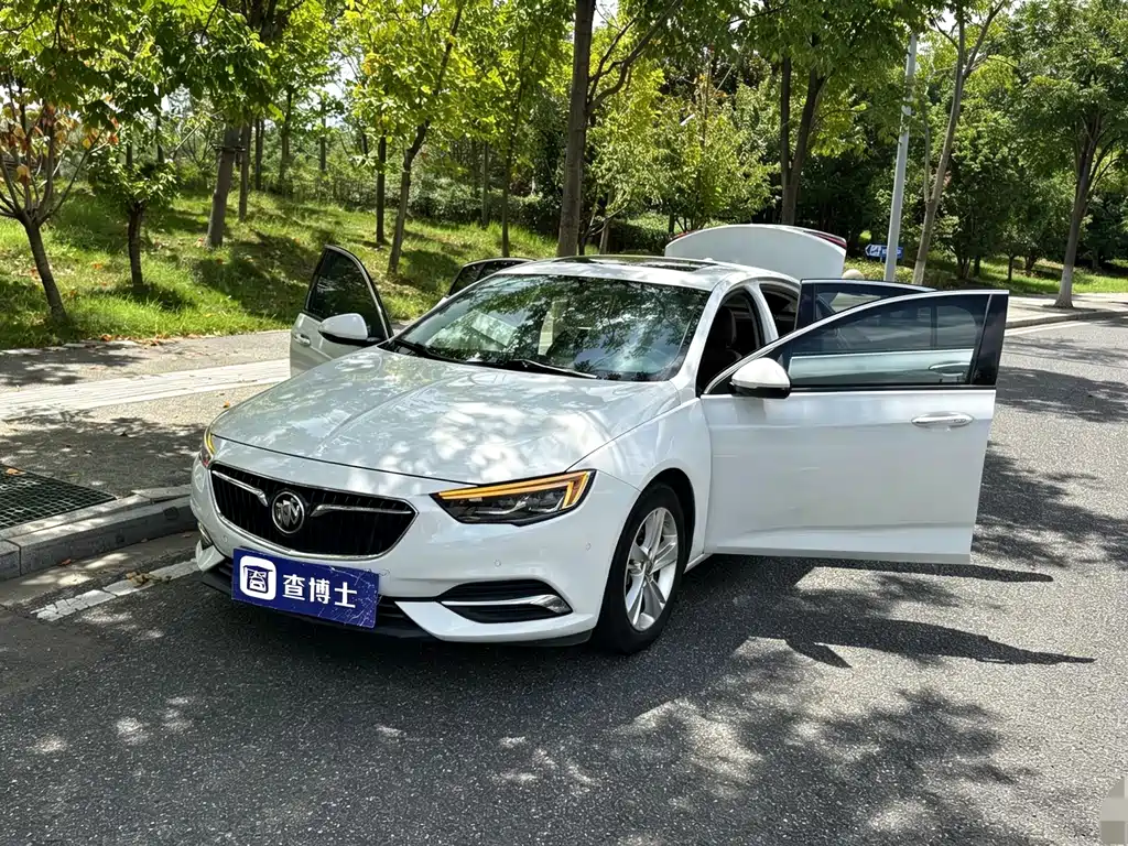 Buick Regal — миниатюра 9
