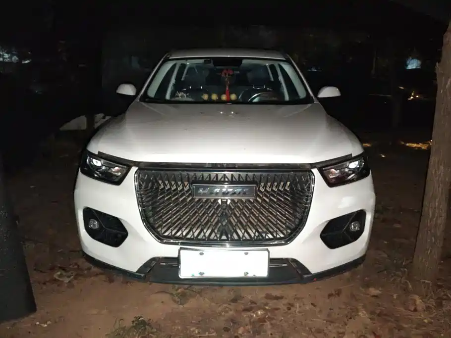 Haval H6 — миниатюра 2
