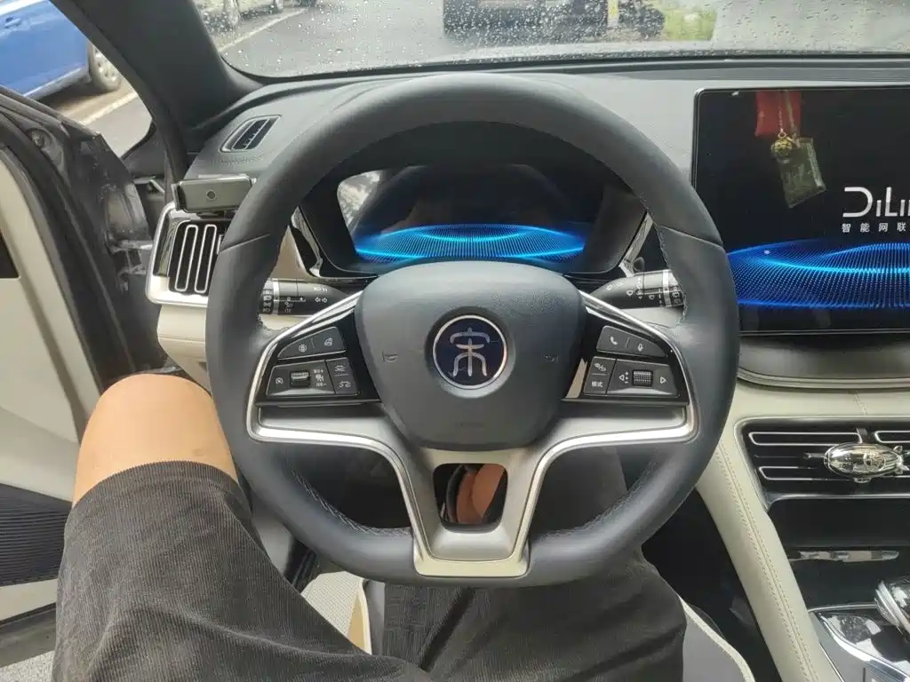 BYD PLUS New Energy — миниатюра 11