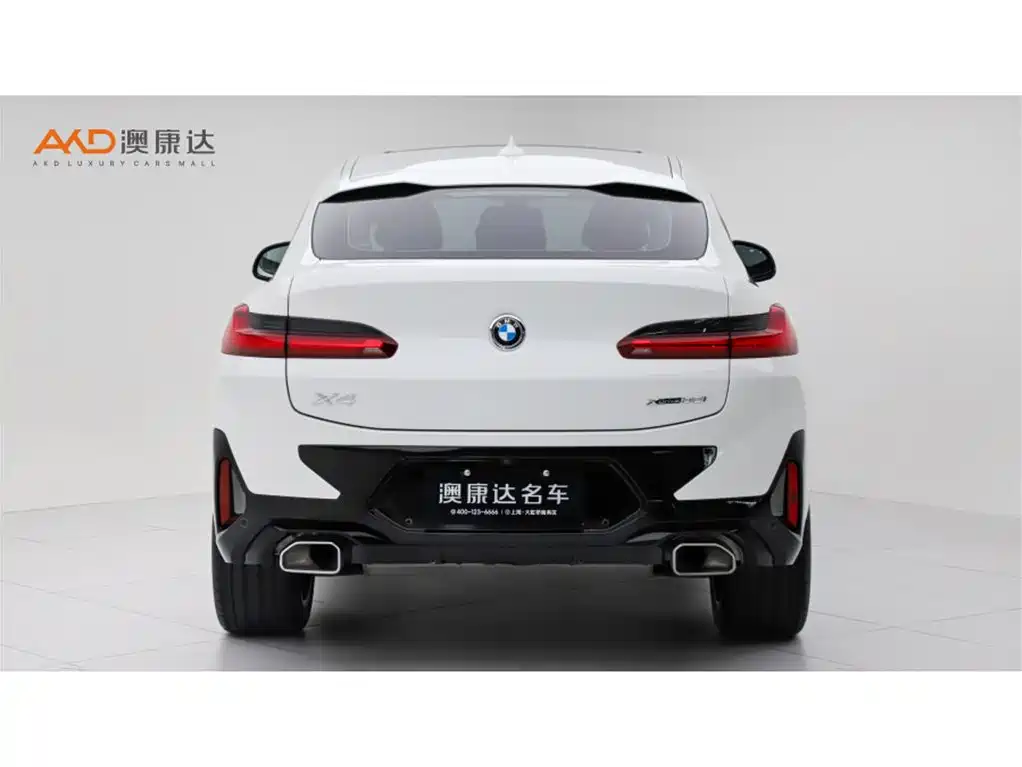 BMW X4 — миниатюра 4