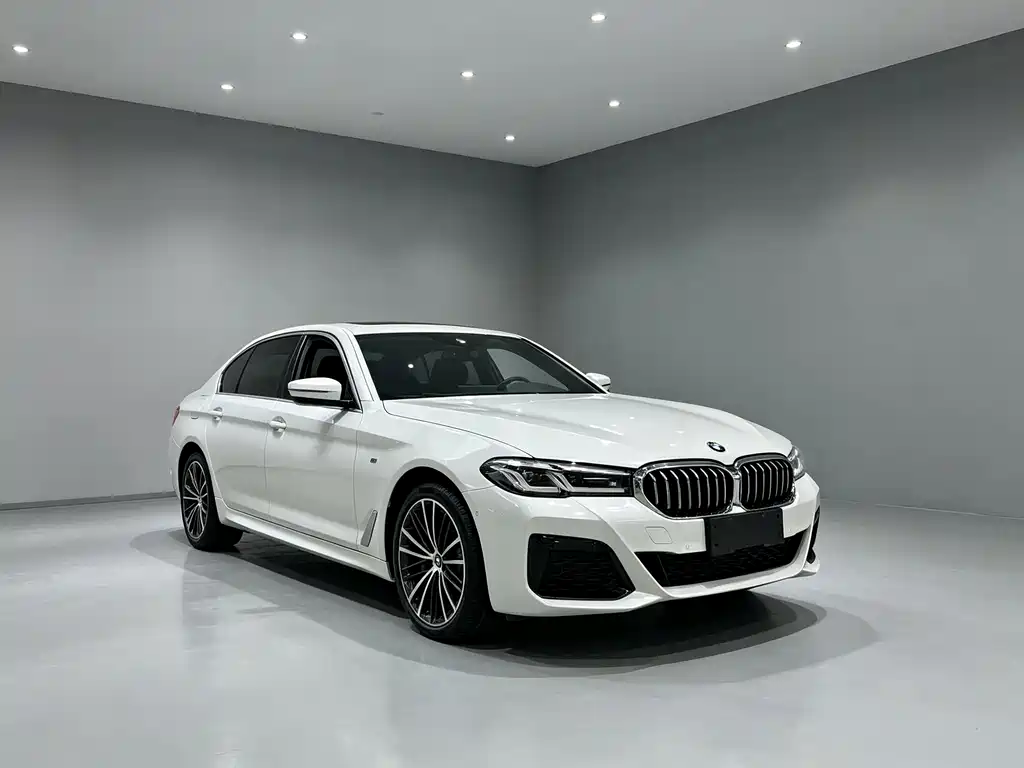 BMW 5 Series — миниатюра 3