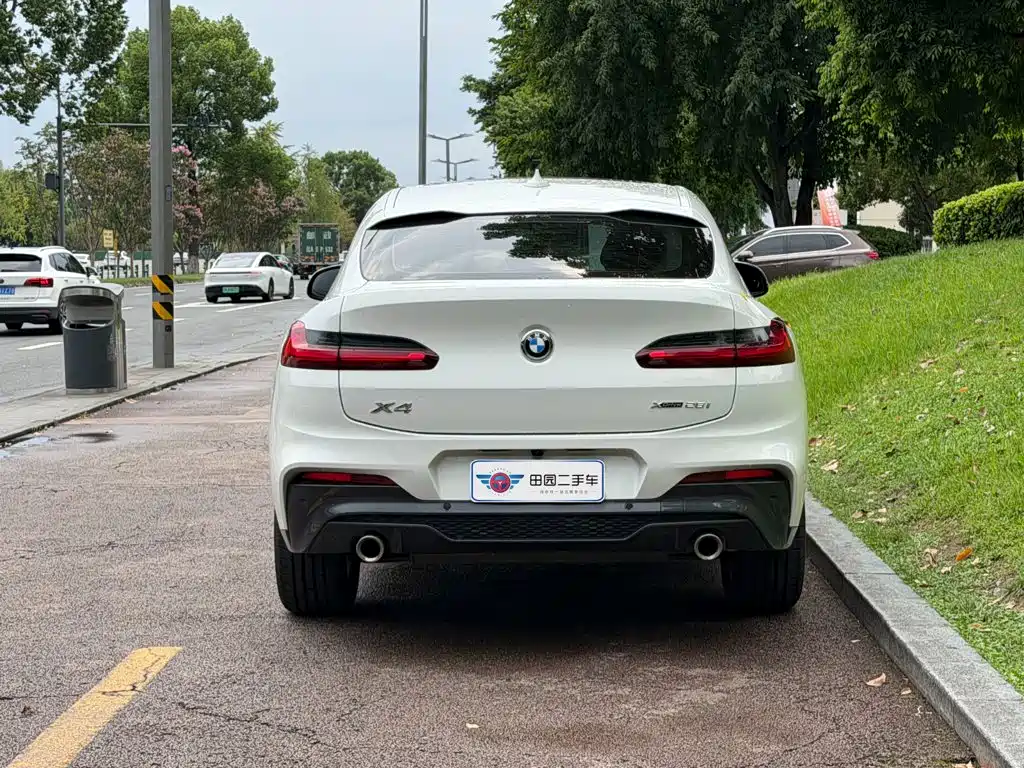 BMW X4 — миниатюра 5
