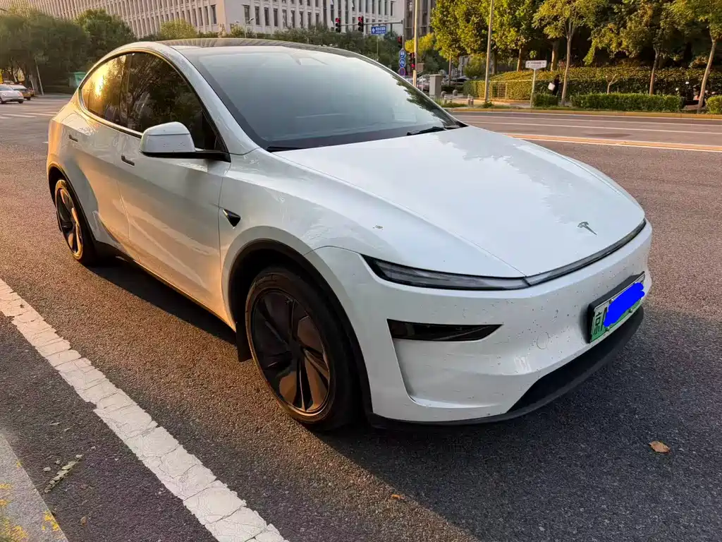 Tesla Model Y — миниатюра 2