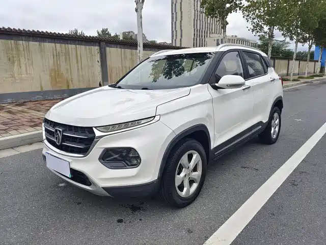 BAOJUN  510 2018