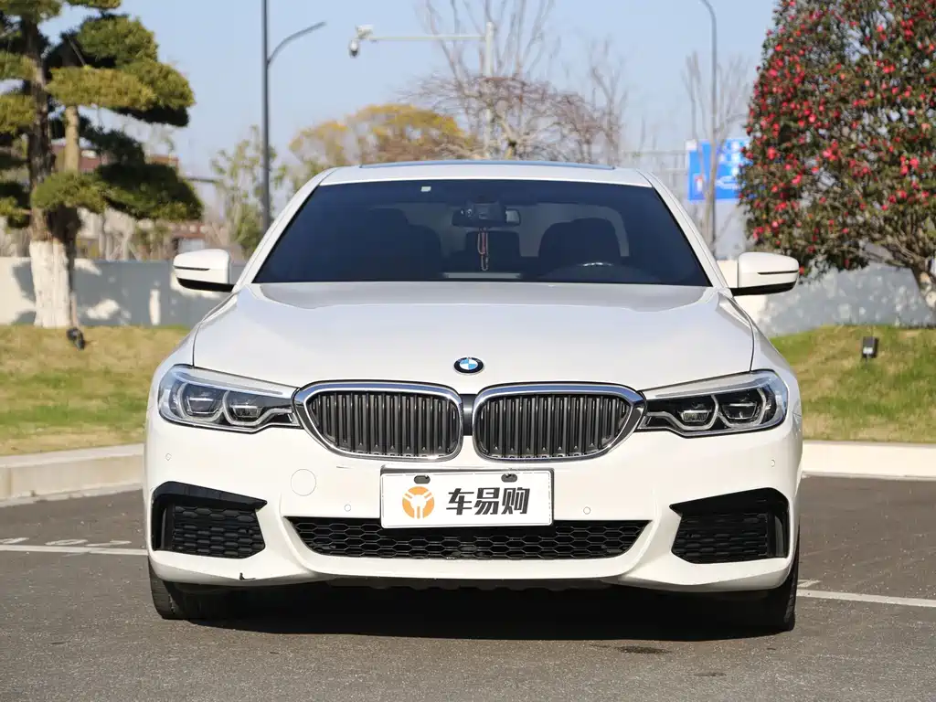 BMW 5 Series — миниатюра 2