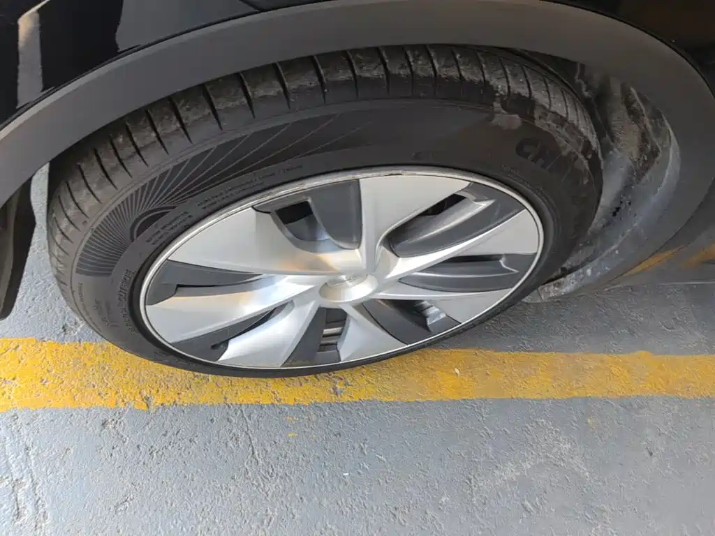 Tesla Model Y — миниатюра 23