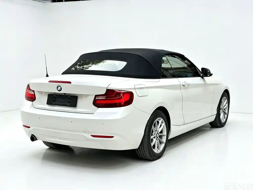 BMW 2 Series (Import) 218i Convertible Coupe, фото 7