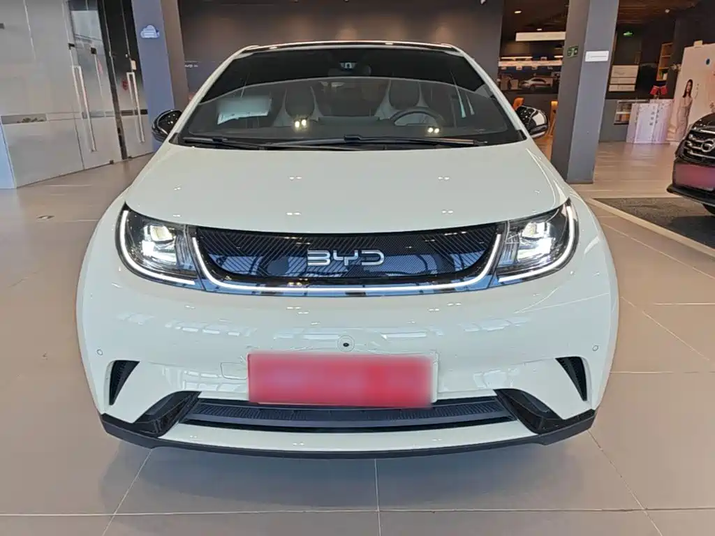 BYD Dolphin — миниатюра 3