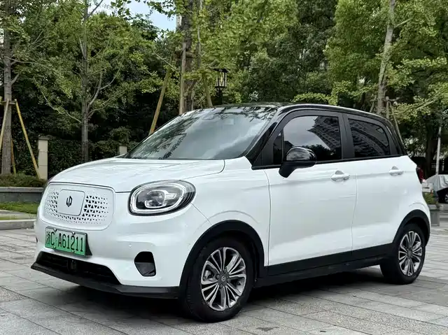 2020 Leapmotor T03