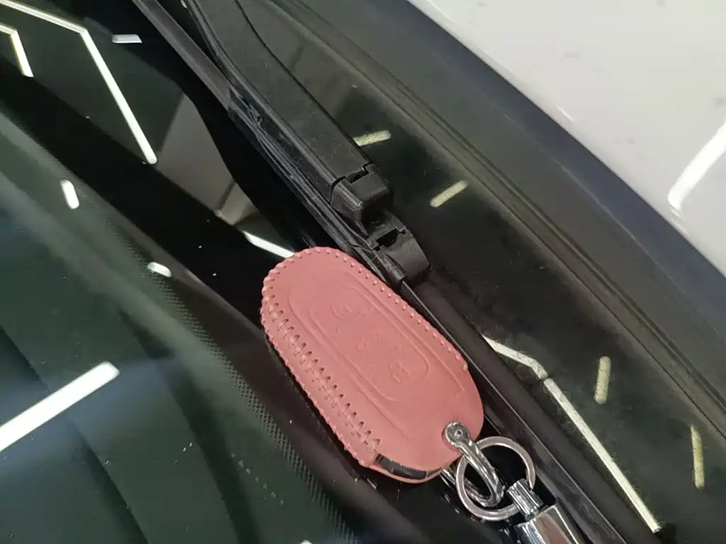 Geely Borui Hybrid — миниатюра 9